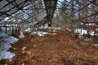 The Grossinger's greenhouse
